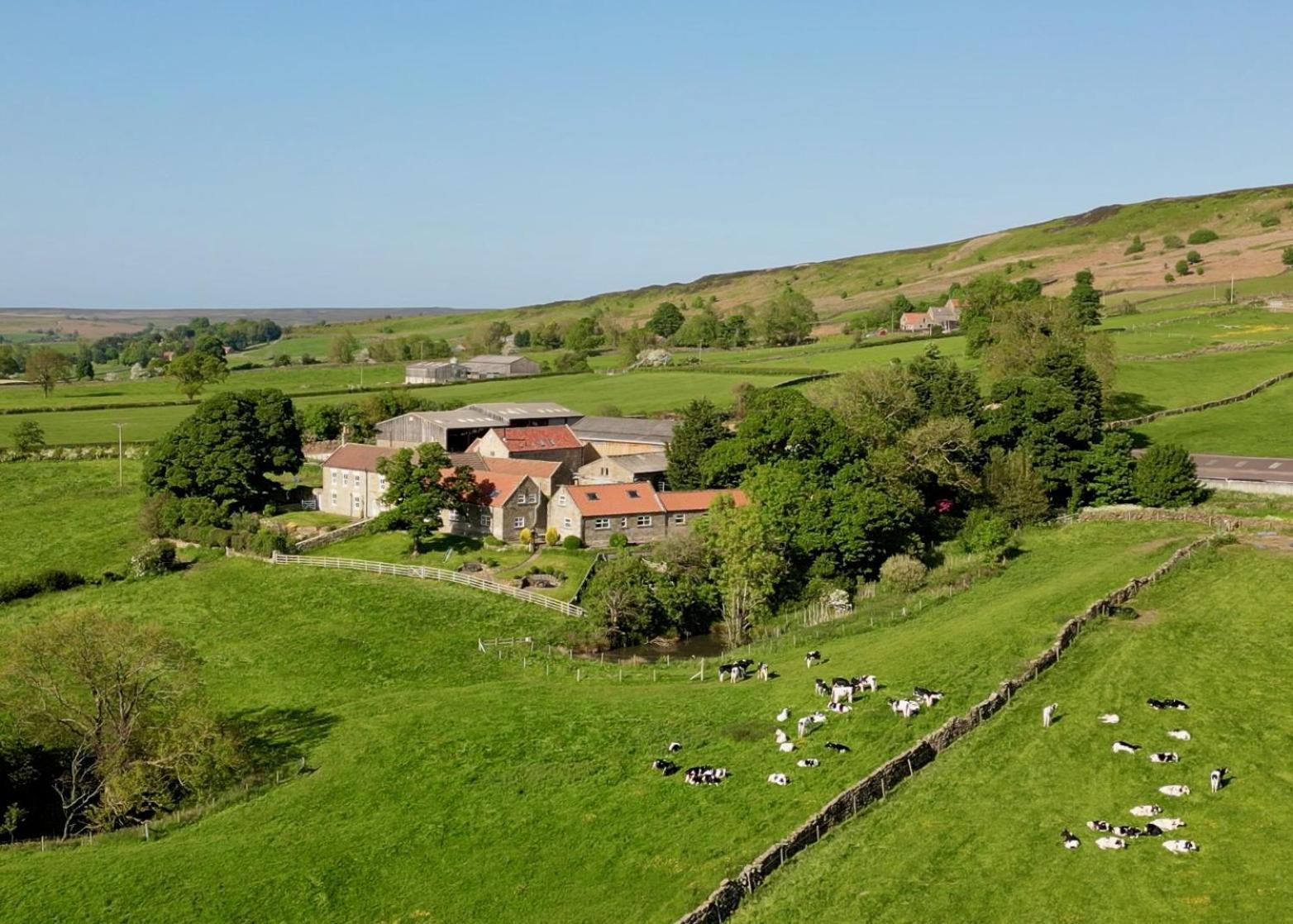 Church House Farm Danby المظهر الخارجي الصورة