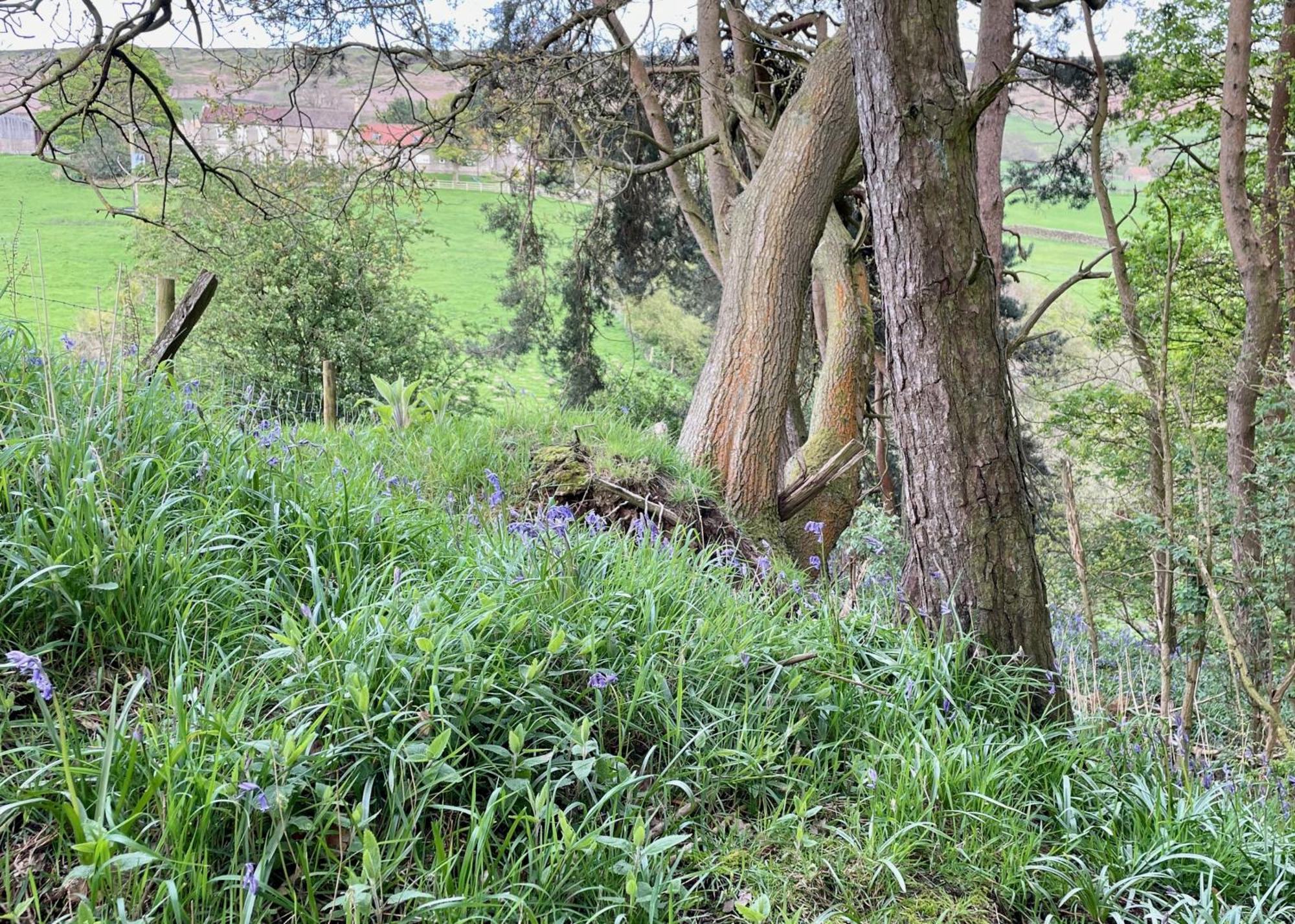Church House Farm Danby المظهر الخارجي الصورة
