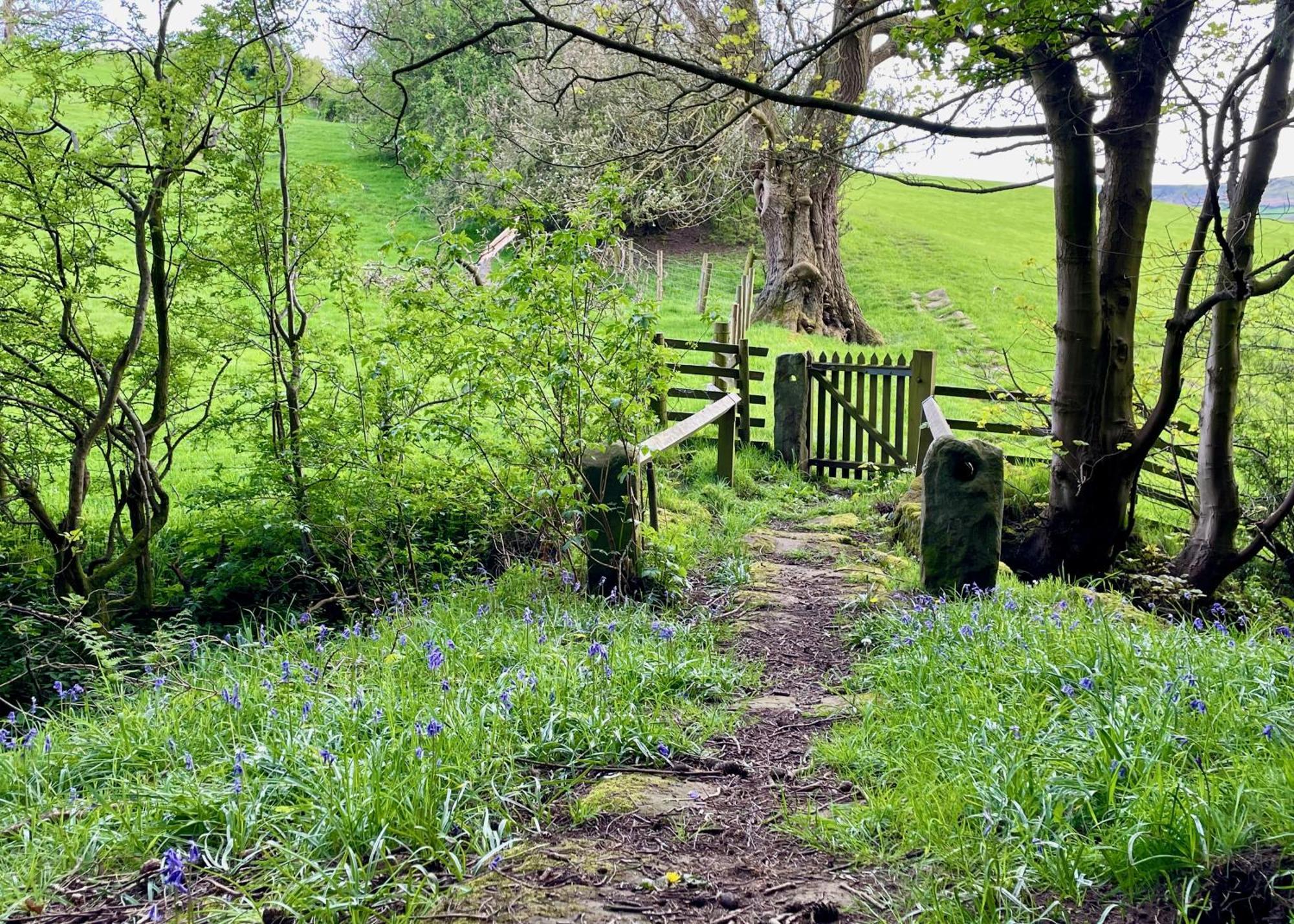 Church House Farm Danby المظهر الخارجي الصورة